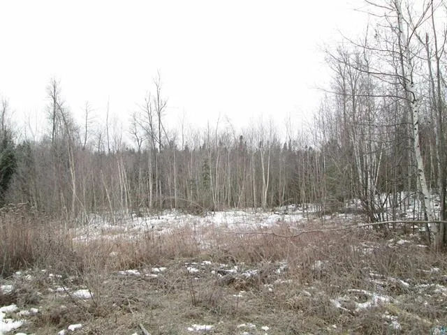 $198,000 | Tbd County Rd L, South Range, WI 54874