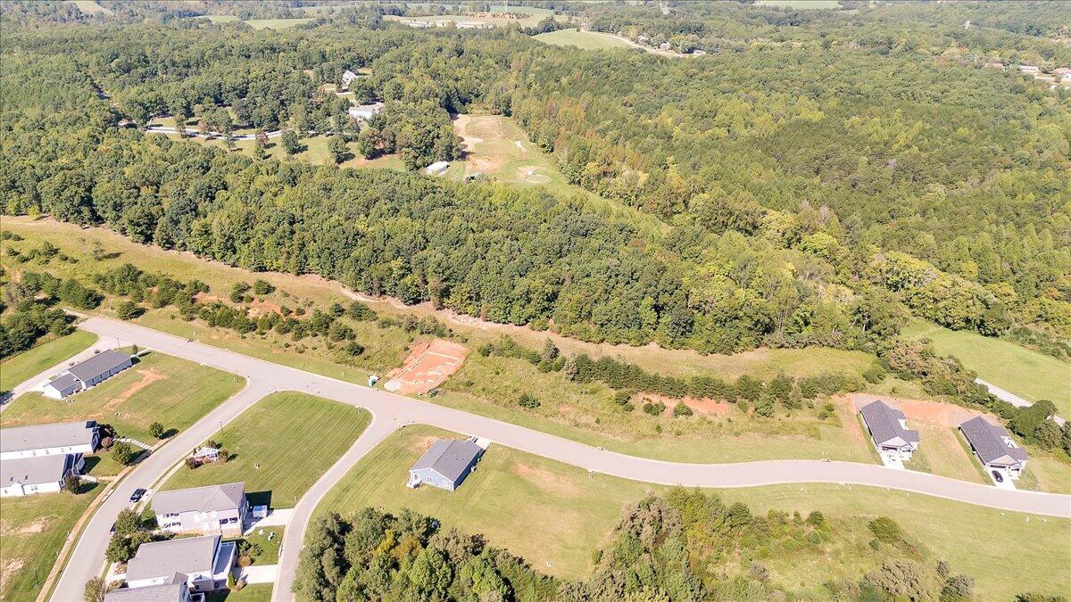 Lot 2 Rucker Road Moneta, VA 24121 - Photo 22 of 22 37-Downtom Moneta_37