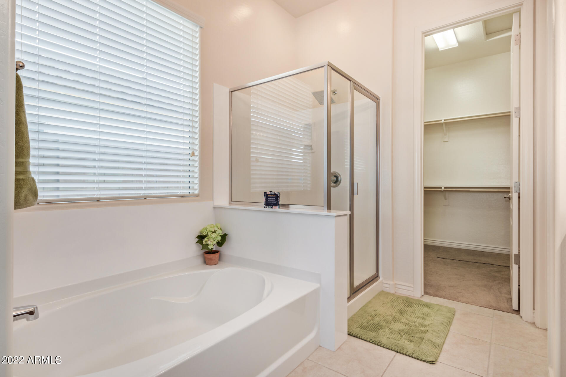 17751 West Verdin Road Goodyear, AZ 85338 - Photo 22 of 45 Primary Bedroom-Bathroom