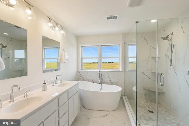 a bathroom with a double vanity sink a mirror and a shower