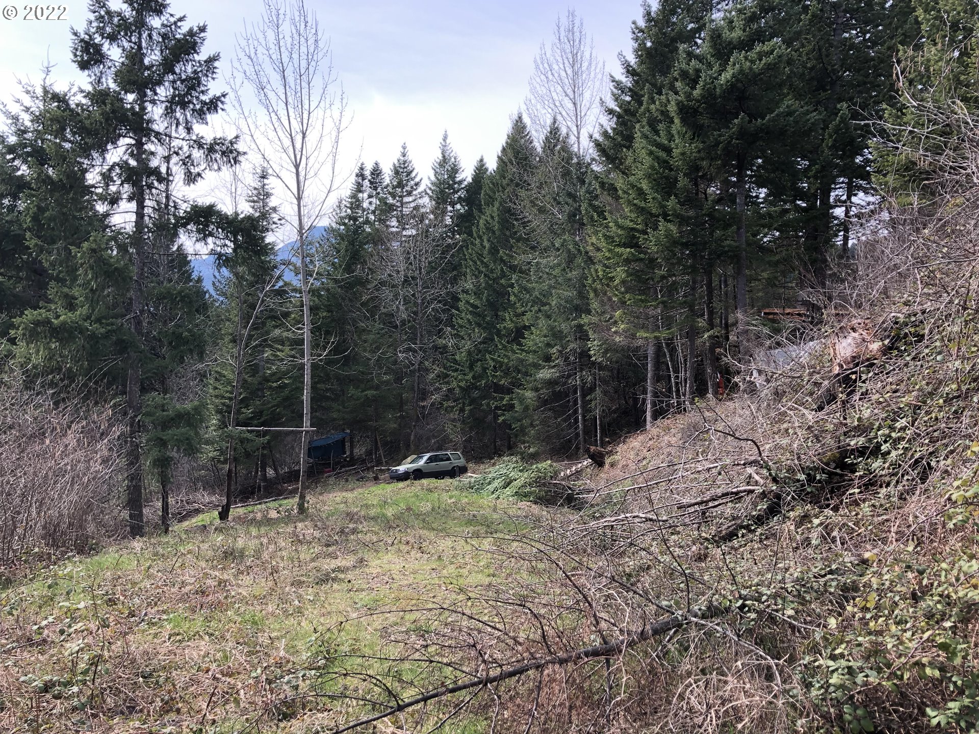 111 Baker Road Stevenson, WA 98648 - Photo 3 of 13 a view of outdoor space and trees