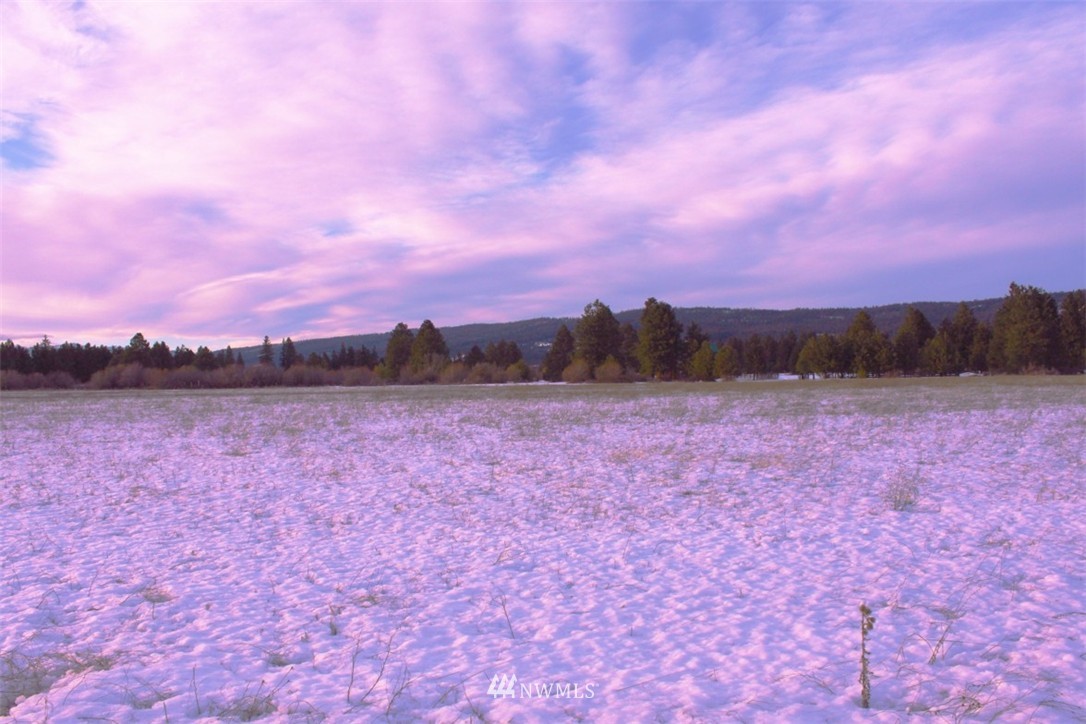 8 Pine Ridge Lane Cle Elum, WA 98922 - Photo 13 of 15 Gallery Image 13