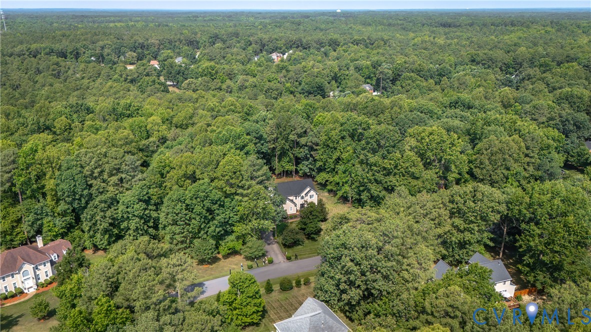 13331 Walke Pointe Way Chesterfield, VA 23832 - Photo 51 of 55