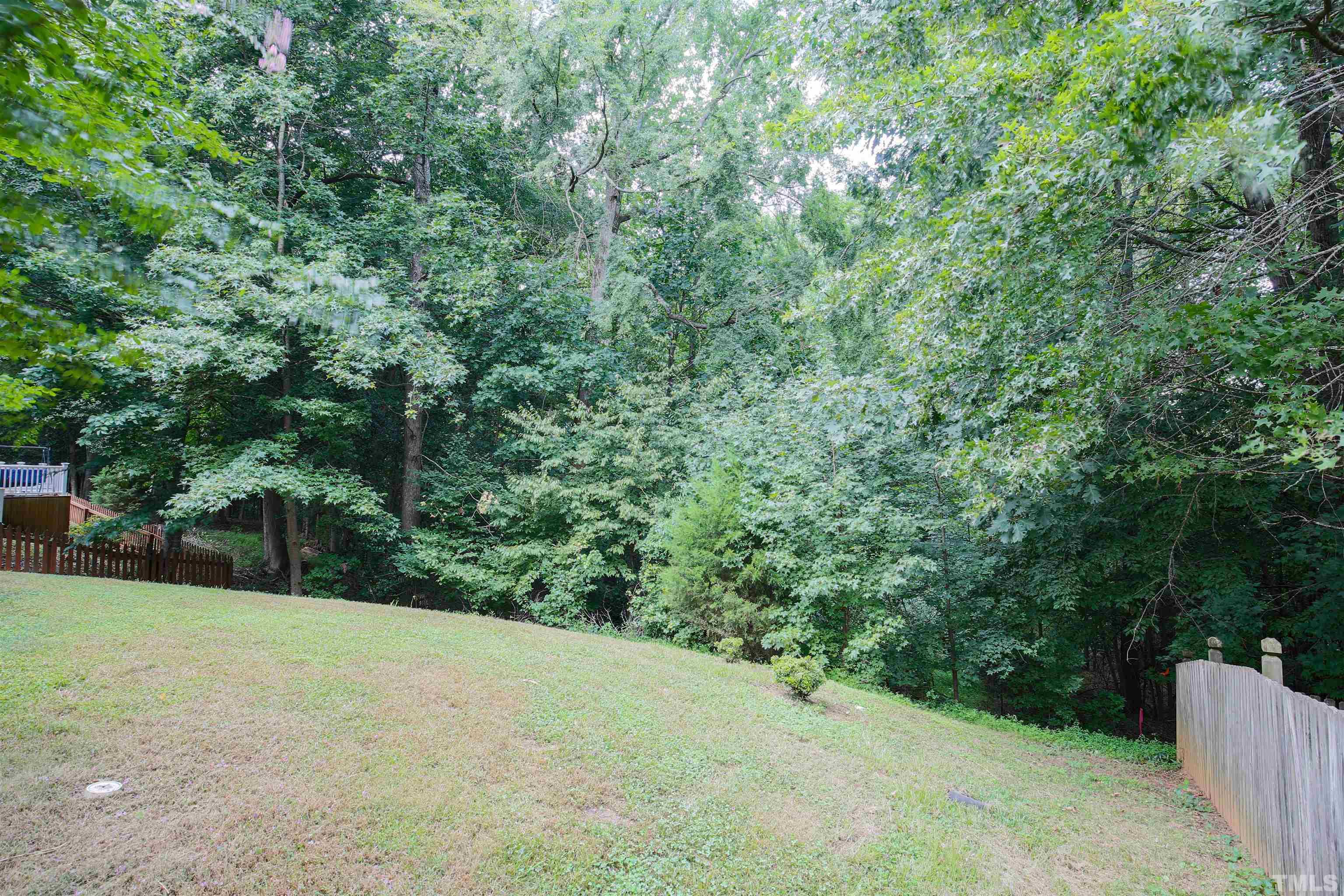 2208 Spruce Shadows Lane Raleigh, NC 27614 - Photo 8 of 26 a view of a backyard with a trees
