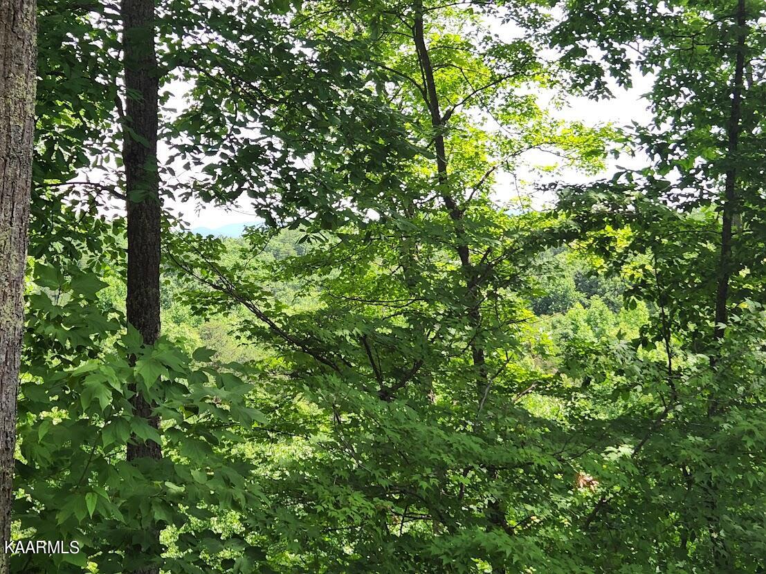 High View Sevierville, TN 37876 - Photo 3 of 9 4