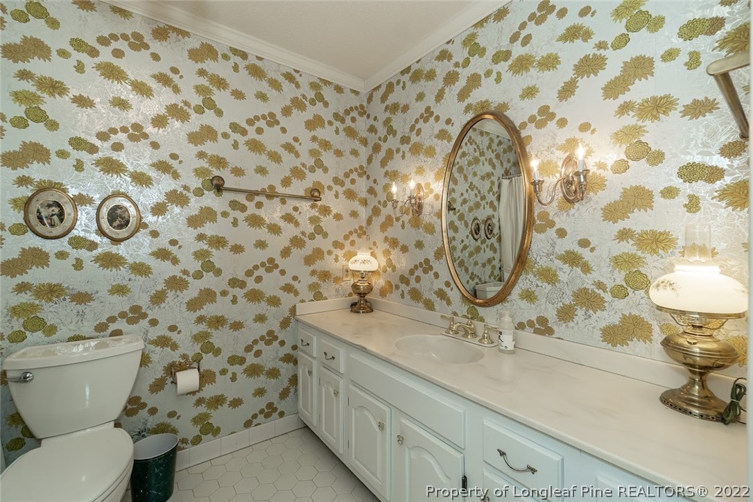 503 Queensferry Road Cary, NC 27511 - Photo 45 of 49 a bathroom with a sink and mirror with toilet