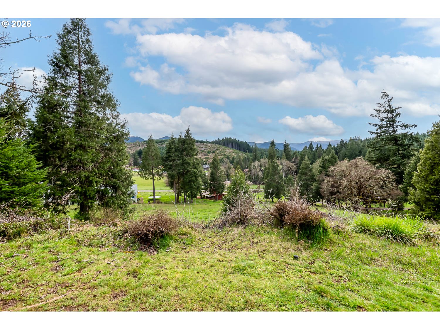 48187 McFarland Road Oakridge, OR 97463 - Photo 11 of 41 a view of a yard with large trees