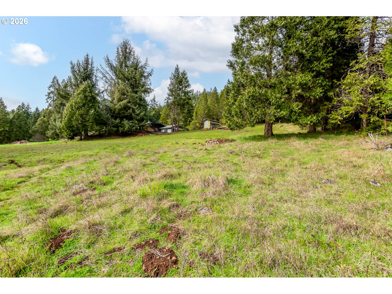48187 McFarland Road Oakridge, OR 97463 - Photo 10 of 41 a view of a yard with a tree