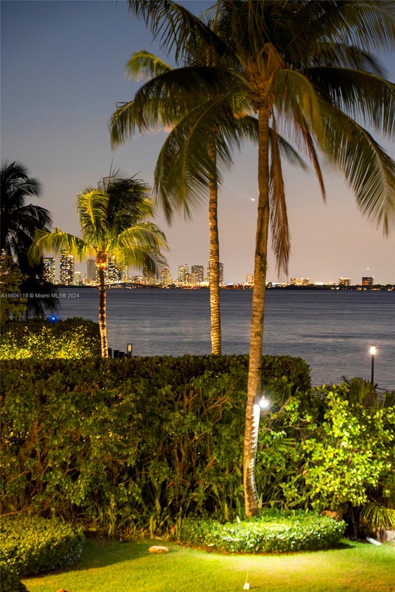 4810 North Bay Road Miami Beach, FL 33140 - Photo 52 of 61 a view of a palm tree next to a yard