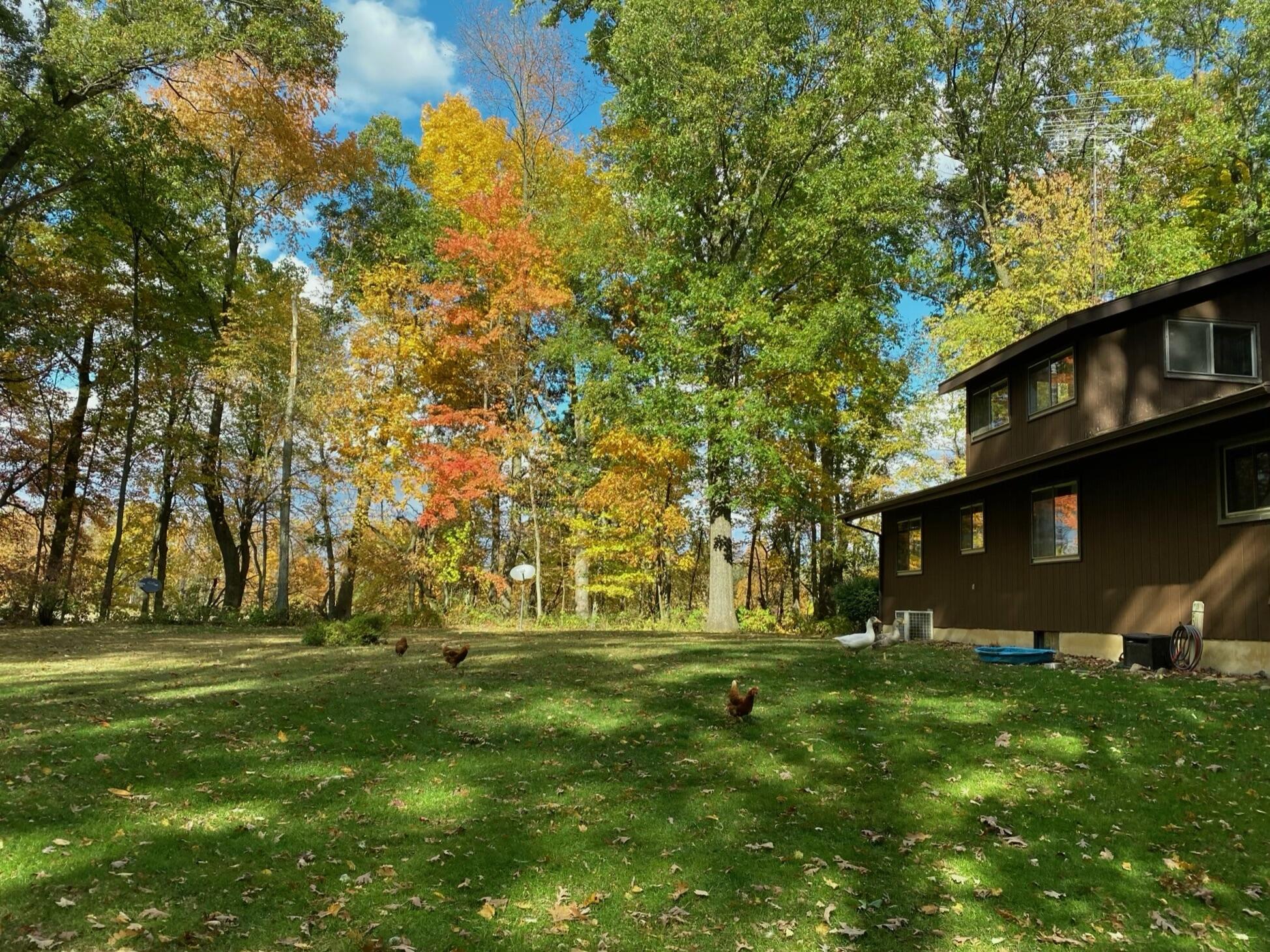 6178 Van Wert Road Homer, MI 49245 - Photo 4 of 23 4