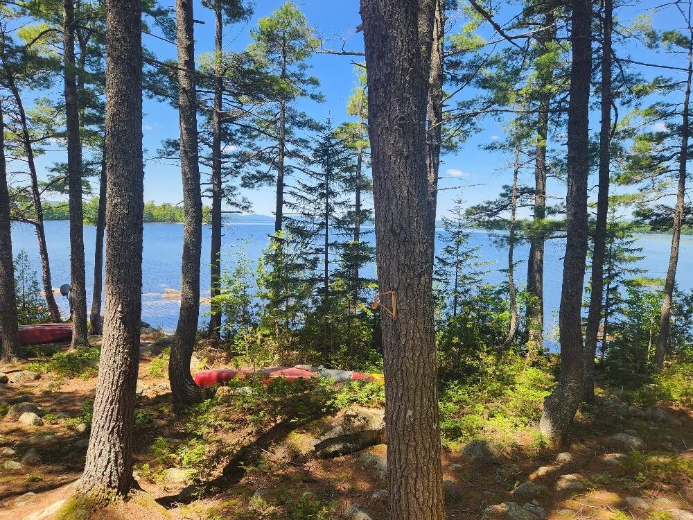 1031 Deep Cove Road Millinocket, ME 04462 - Photo 66 of 99 20230622_121949_resized