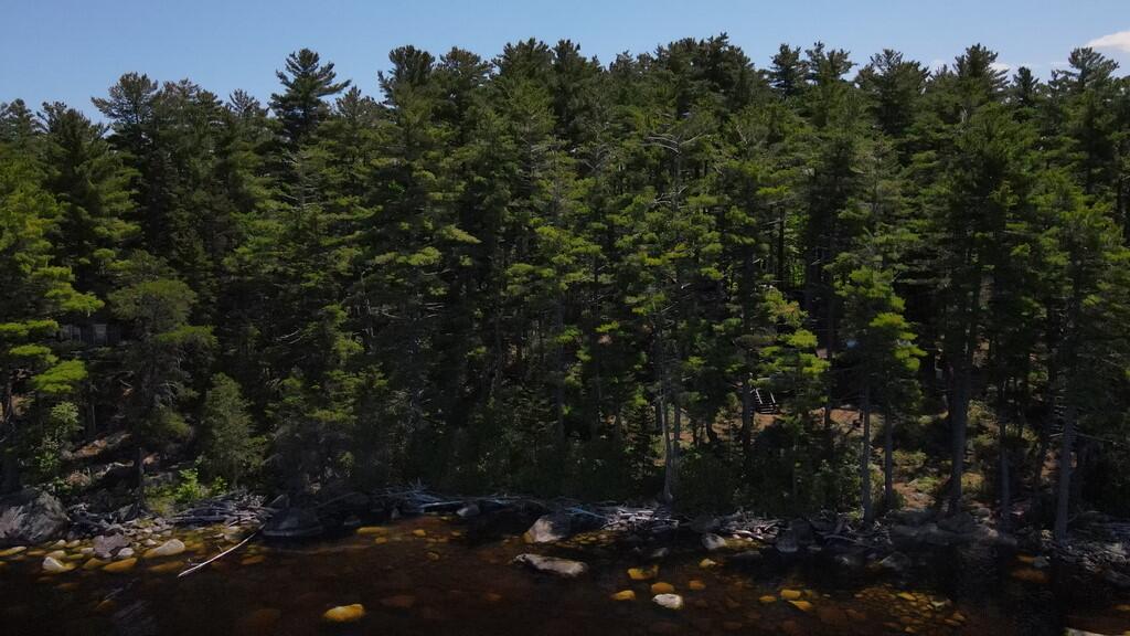 1031 Deep Cove Road Millinocket, ME 04462 - Photo 78 of 99 dji_fly_20230622_115026_846_168755353173