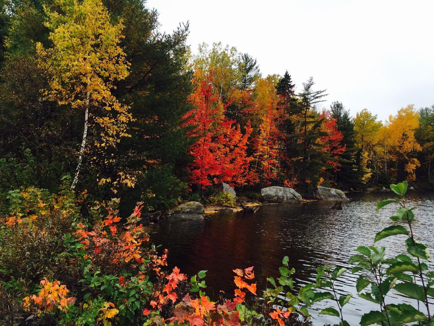 1031 Deep Cove Road Millinocket, ME 04462 - Photo 87 of 99 IMG_20230624_085924