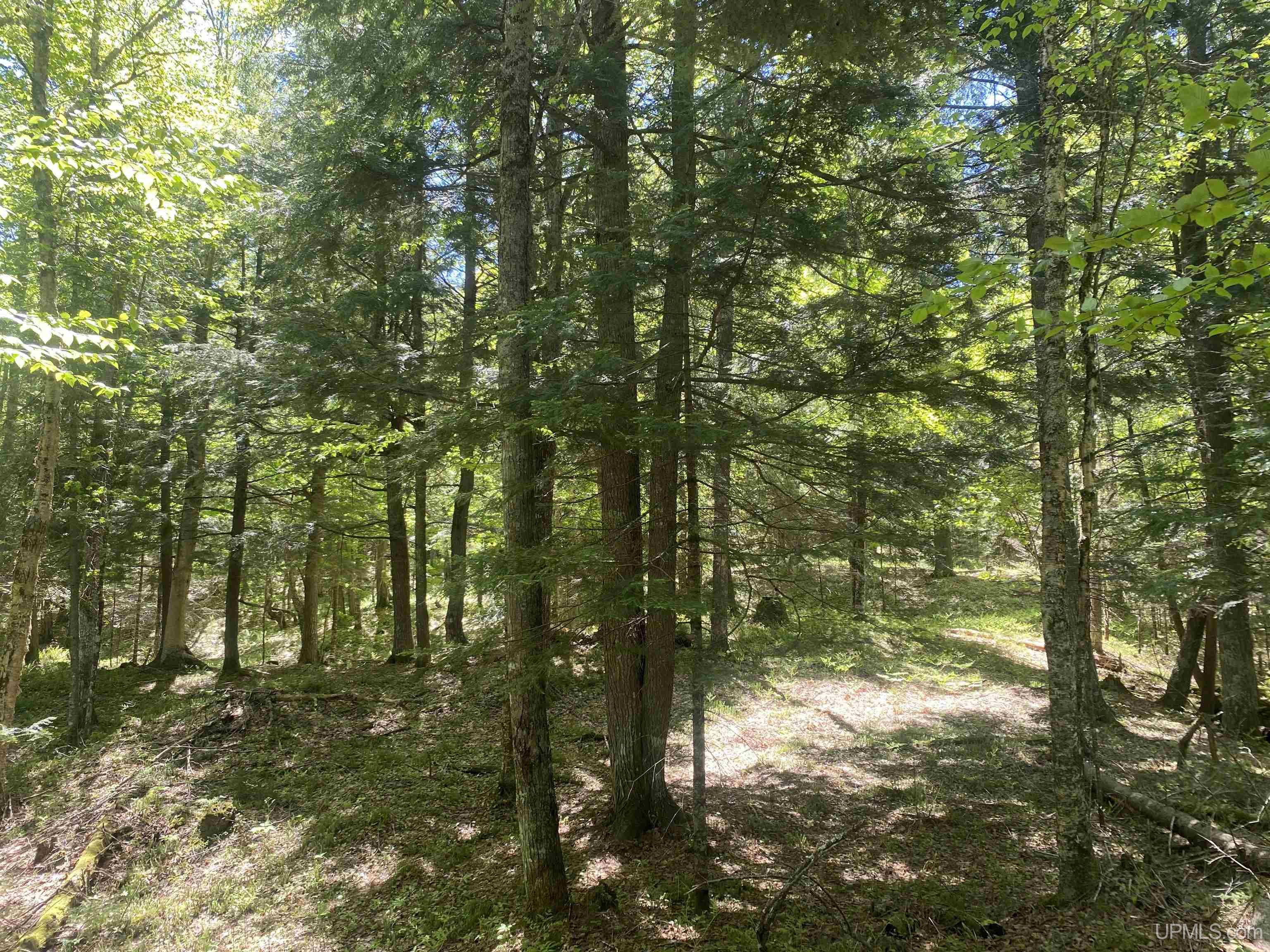13-14 Grace Lake Road Watersmeet, MI 49969 - Photo 5 of 23