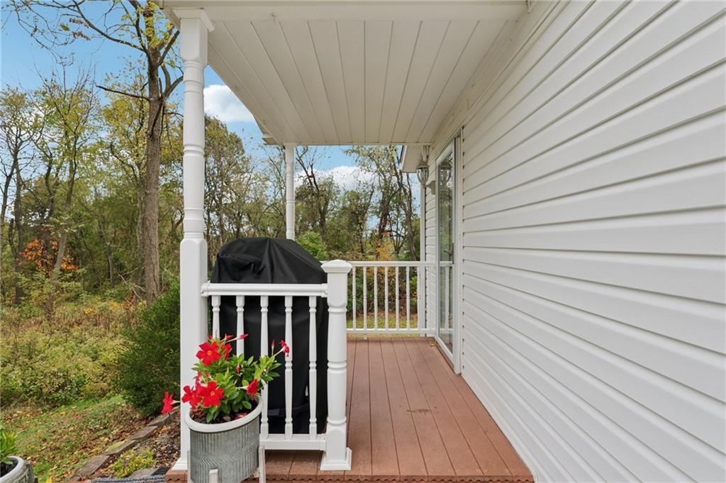 158 Maple Street Rochester, PA 15074 - Photo 5 of 37 a view of a potted flower in the corridor