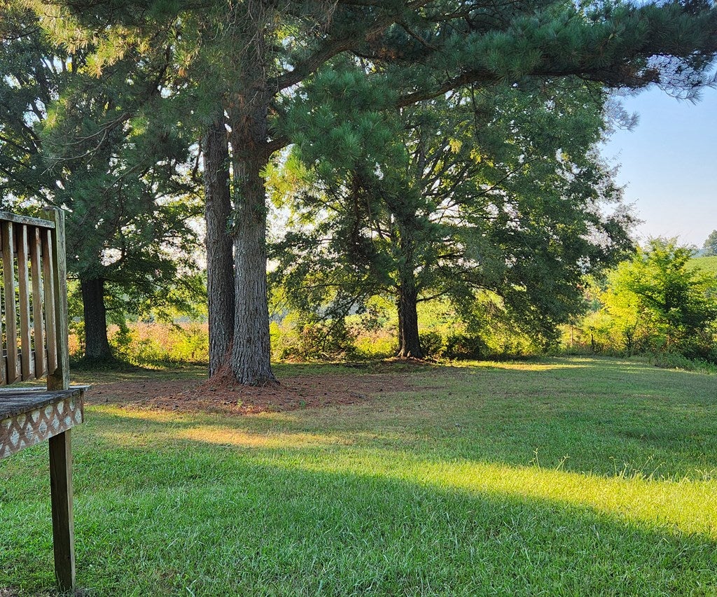 192 China Grove Road Boydton, VA 23917 - Photo 15 of 52 Gallery Image 15