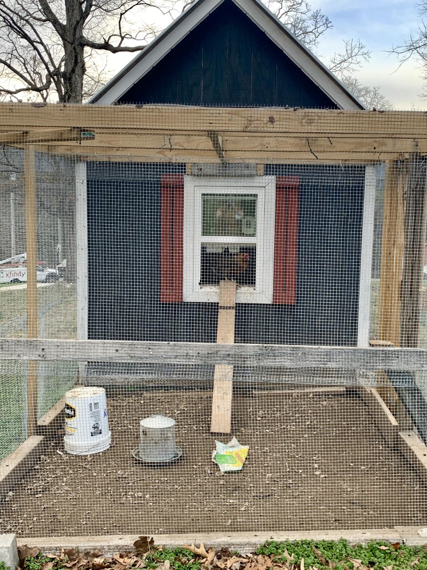 162 Morton Road La Follette, TN 37766 - Photo 18 of 25 fullsizeoutput_33f4