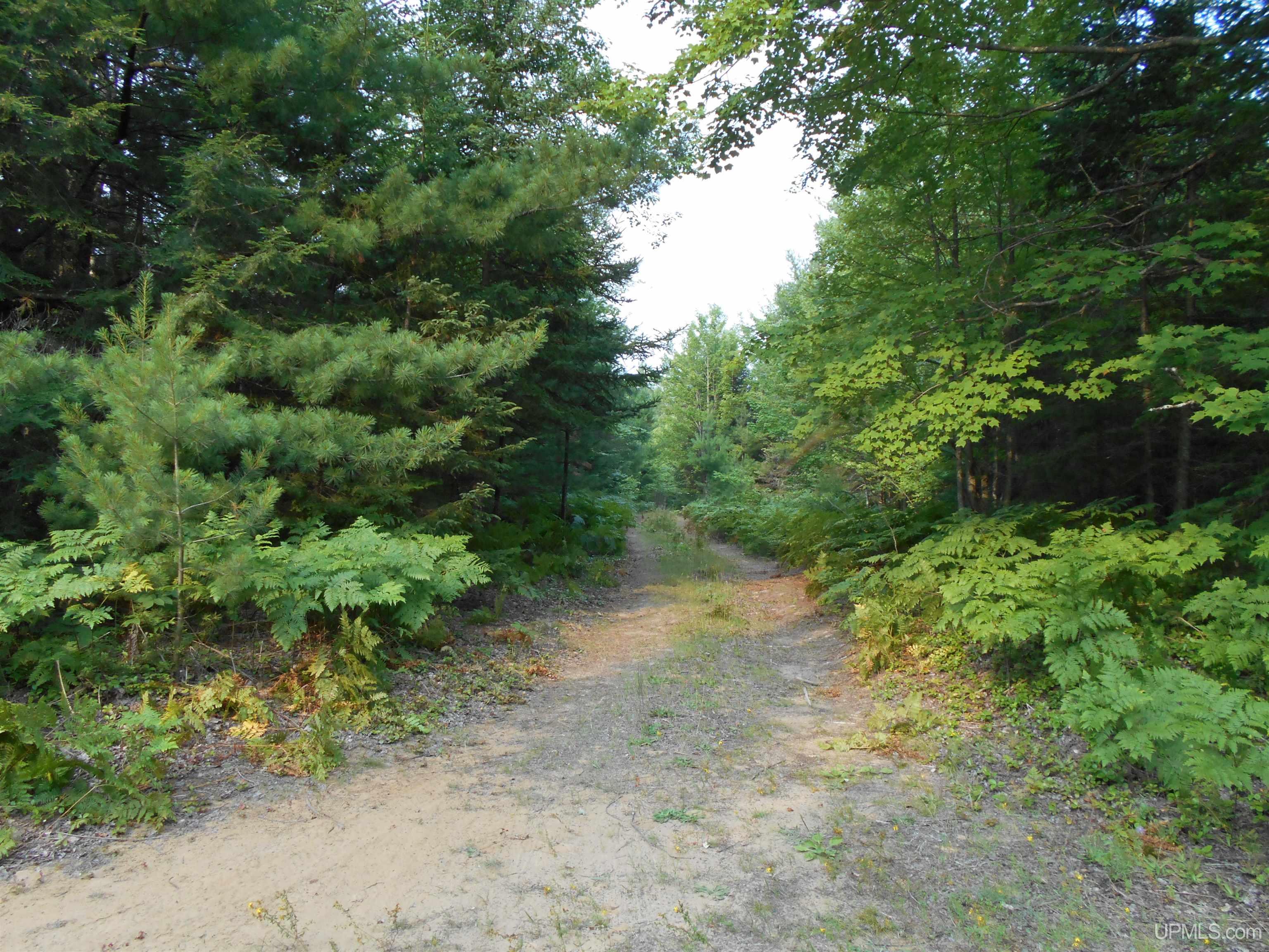 40-acres Garden Grade Road Garden, MI 49817 - Photo 12 of 51