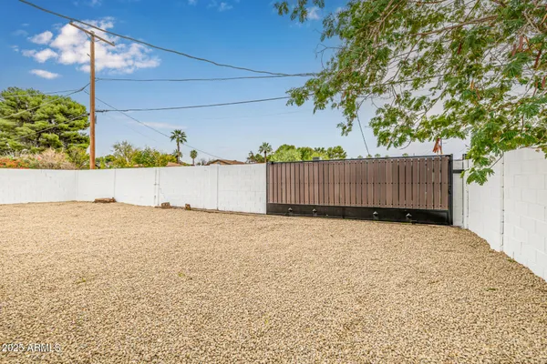 a view of backyard and tree