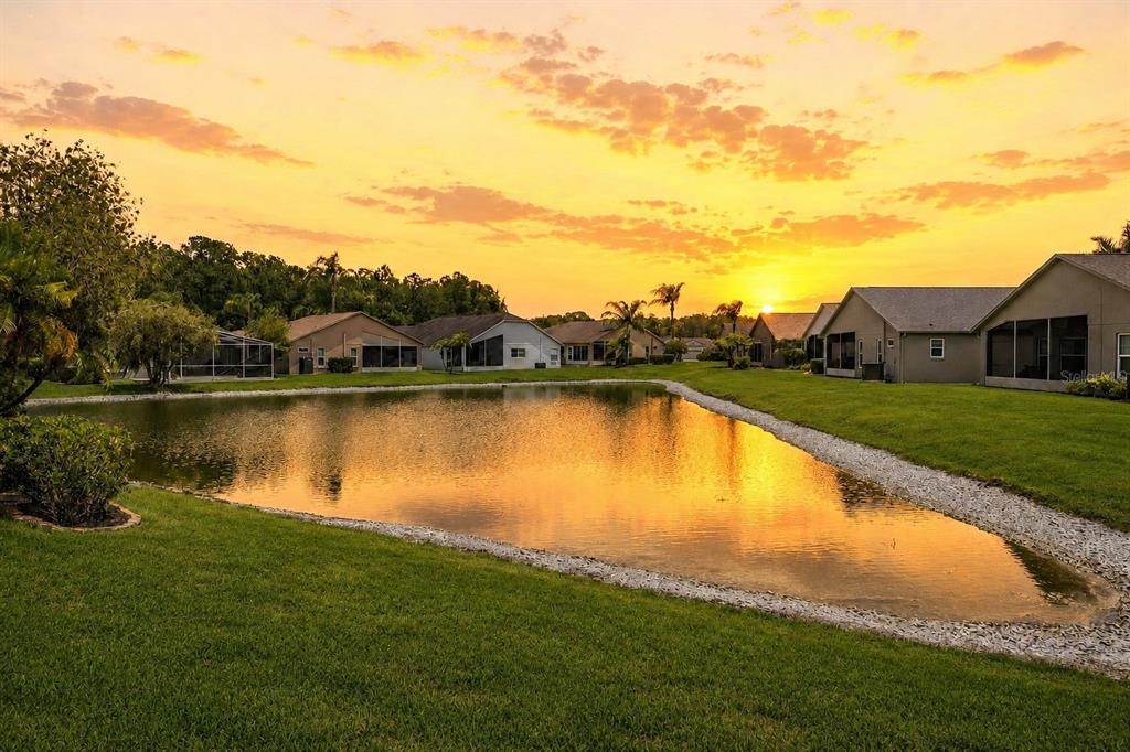 1032 Dustan Place Trinity, FL 34655 - Photo 4 of 51