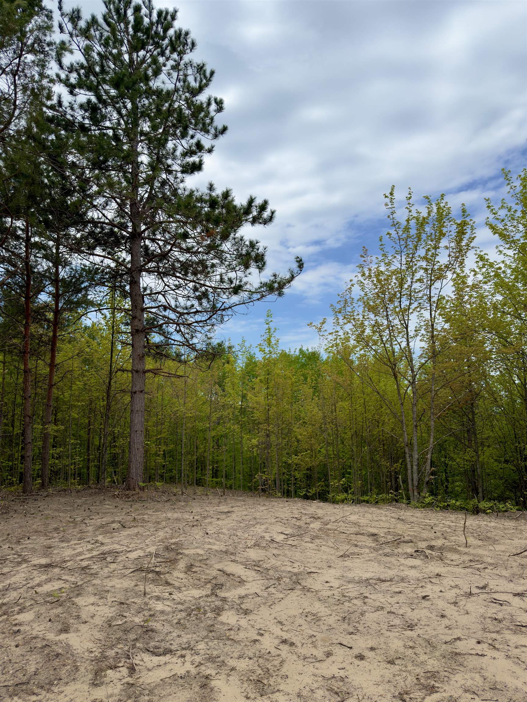 3779 Scholl Road Mancelona, MI 49659 - Photo 6 of 16