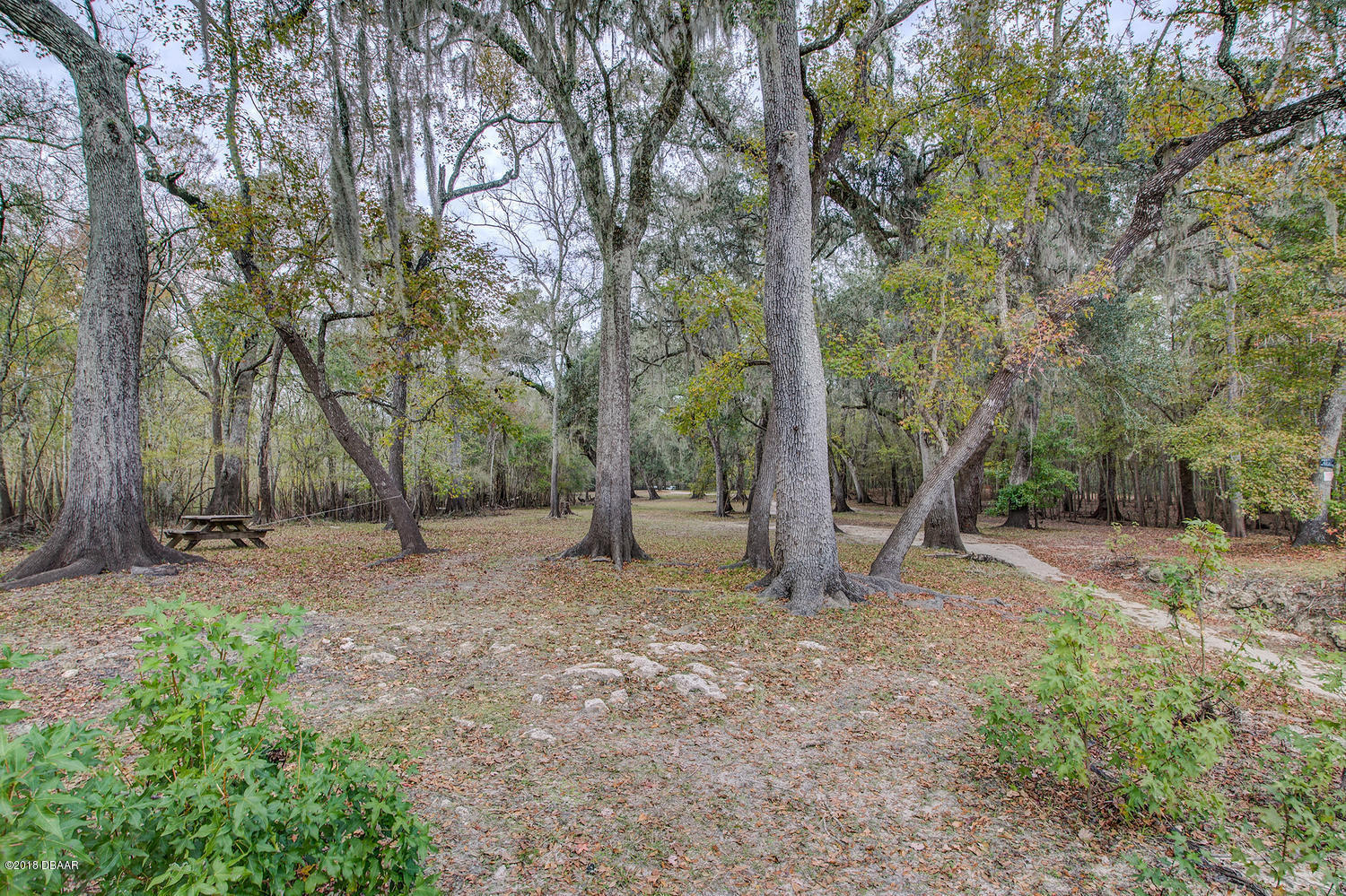 28019 29th Road Branford, FL 32008 - Photo 53 of 53 TBD Branford-large-053-48--1500x999-72d