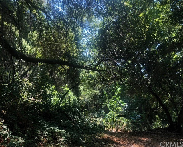 46330 De Luz Road Temecula, CA 92590 - Photo 1 of 1 a view of a tree