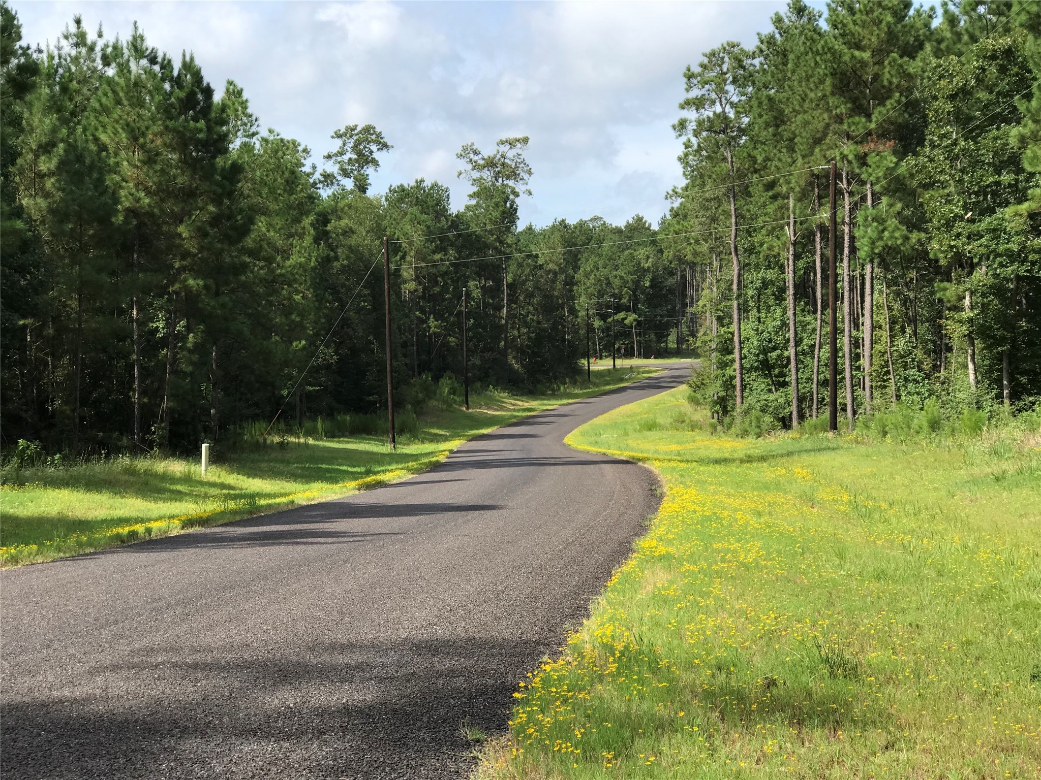 11-29-34 Grey Feather Road Huntsville, TX 77340 - Photo 13 of 26 a view of a park