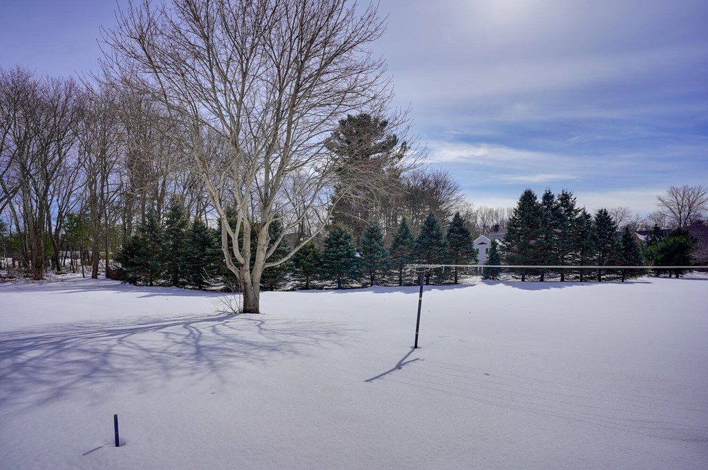 39 Mill Road Chelmsford, MA 01824 - Photo 26 of 42 Gallery Image 26