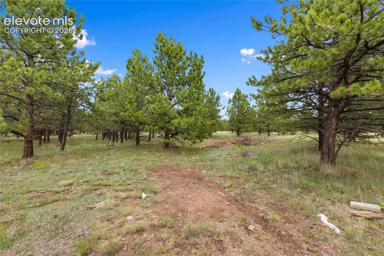 1395 Doe Valley Road Guffey, CO 80820 - Photo 42 of 43 Gallery Image 42