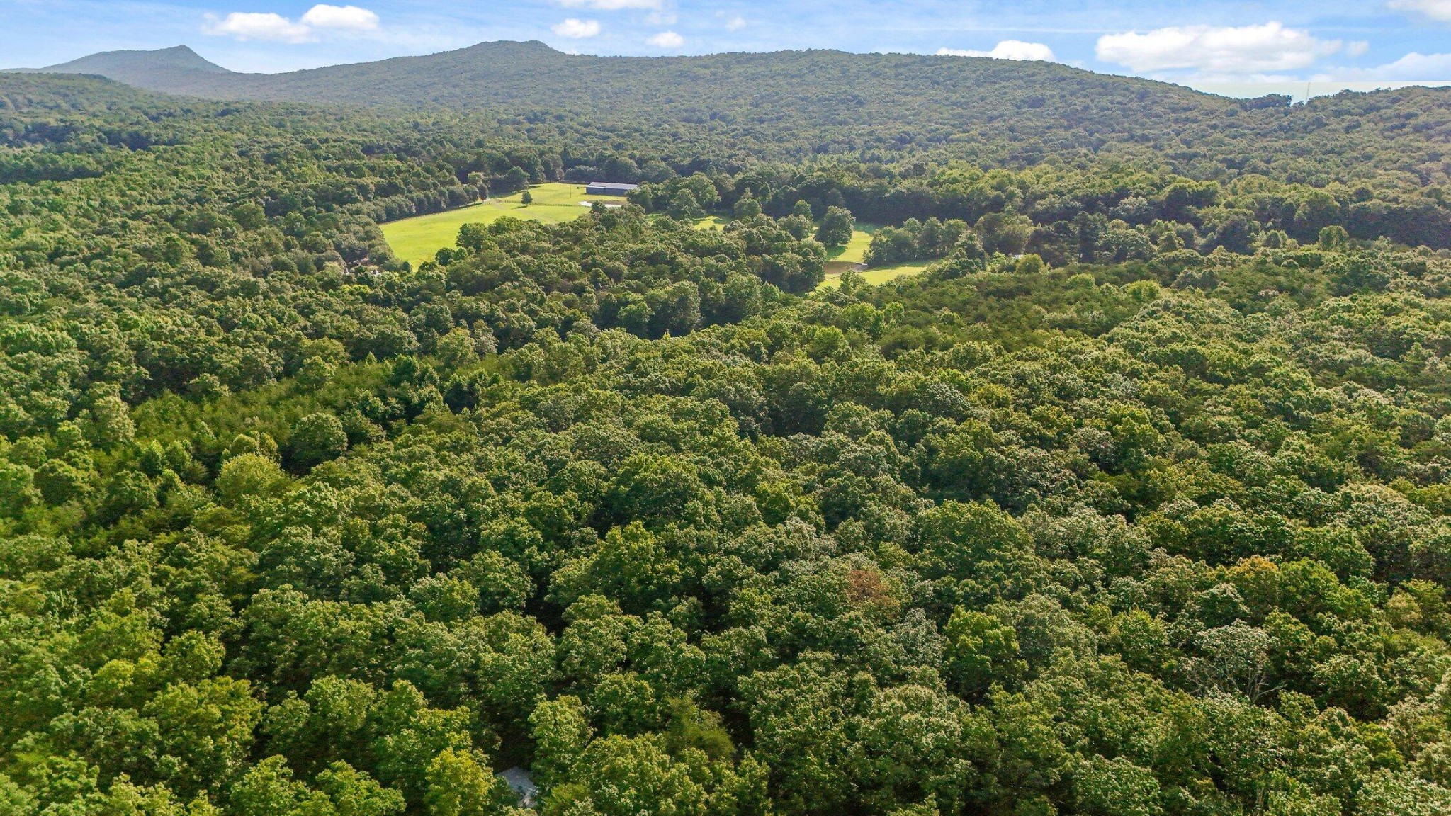 305 Smokey Ridge Rising Fawn, GA 30738 - Photo 4 of 12 Gallery Image 4