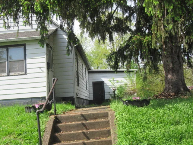 $11,500 | 805 Johnson Street, Danville, IL 61832
