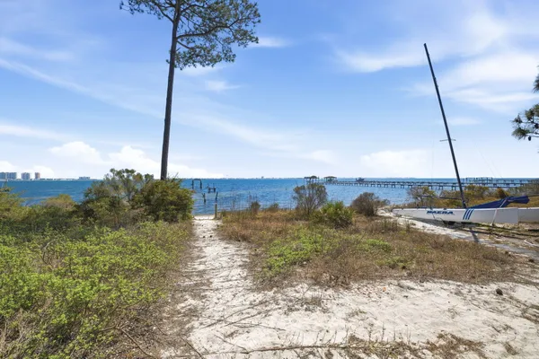a view of a beach with a tree in the background