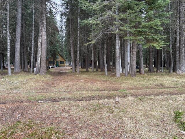 80 Diamond Lake Loop Chemult, OR 97731 - Photo 34 of 36 a backyard of a house with lots of trees