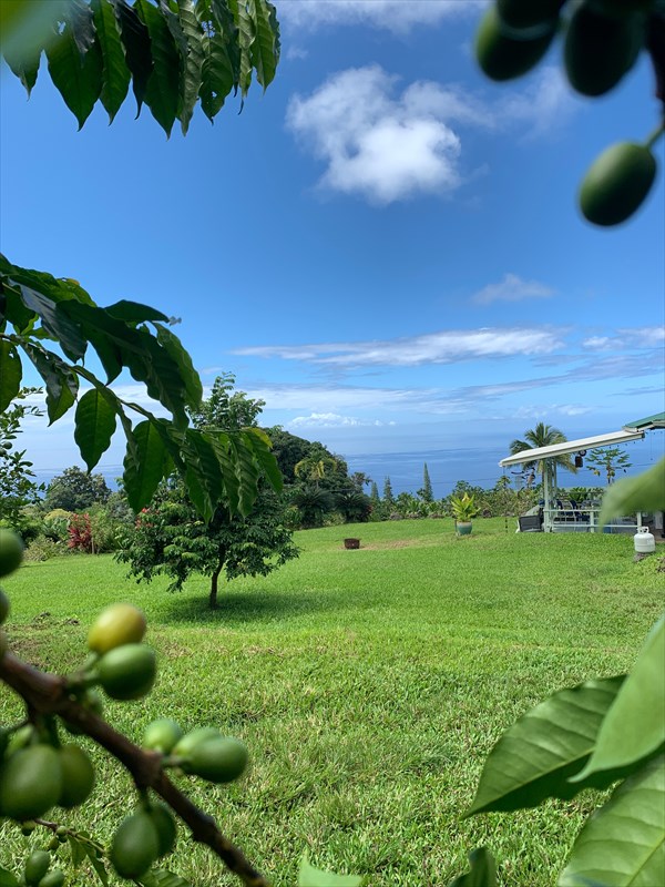 84-1180 Bruner Road Captain Cook, HI 96704 - Photo 23 of 28 a view of a green field with lots of green space