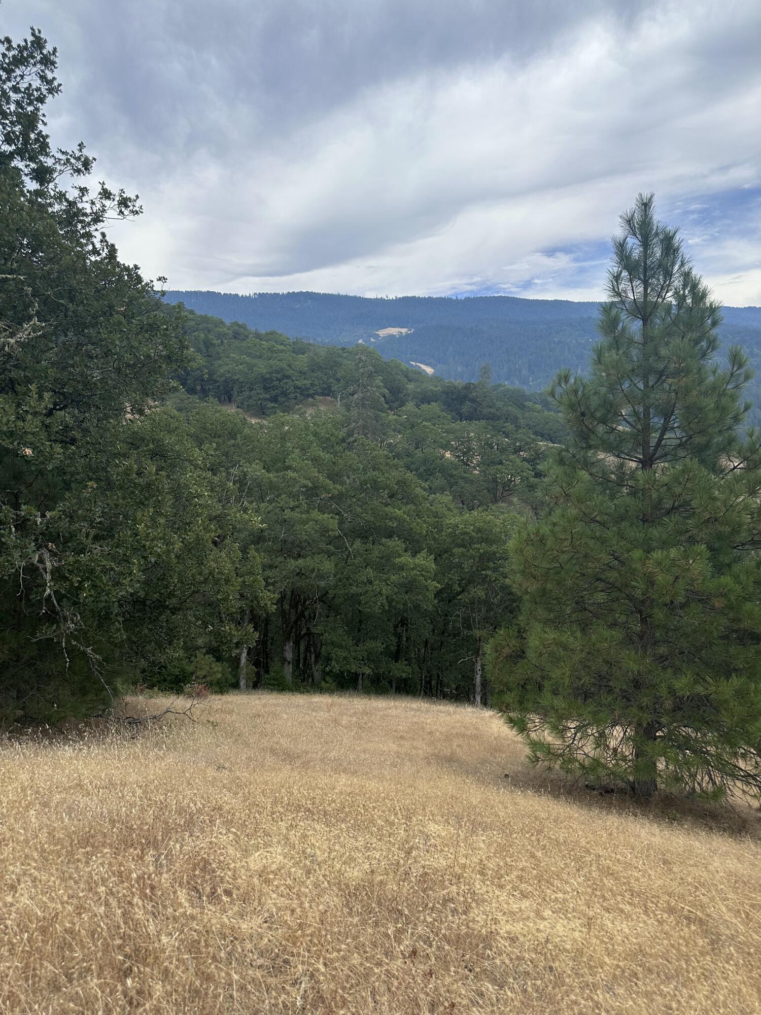 0 River Road Miranda, CA 95553 - Photo 10 of 31