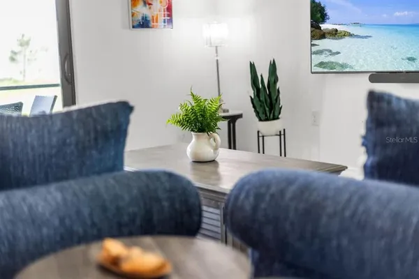 a living room with furniture and a potted plant