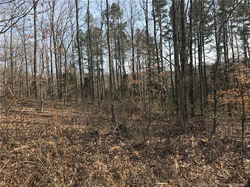 Patoka School Rd Road Taswell, IN 47175 - Photo 1 of 4 Gallery Image 1