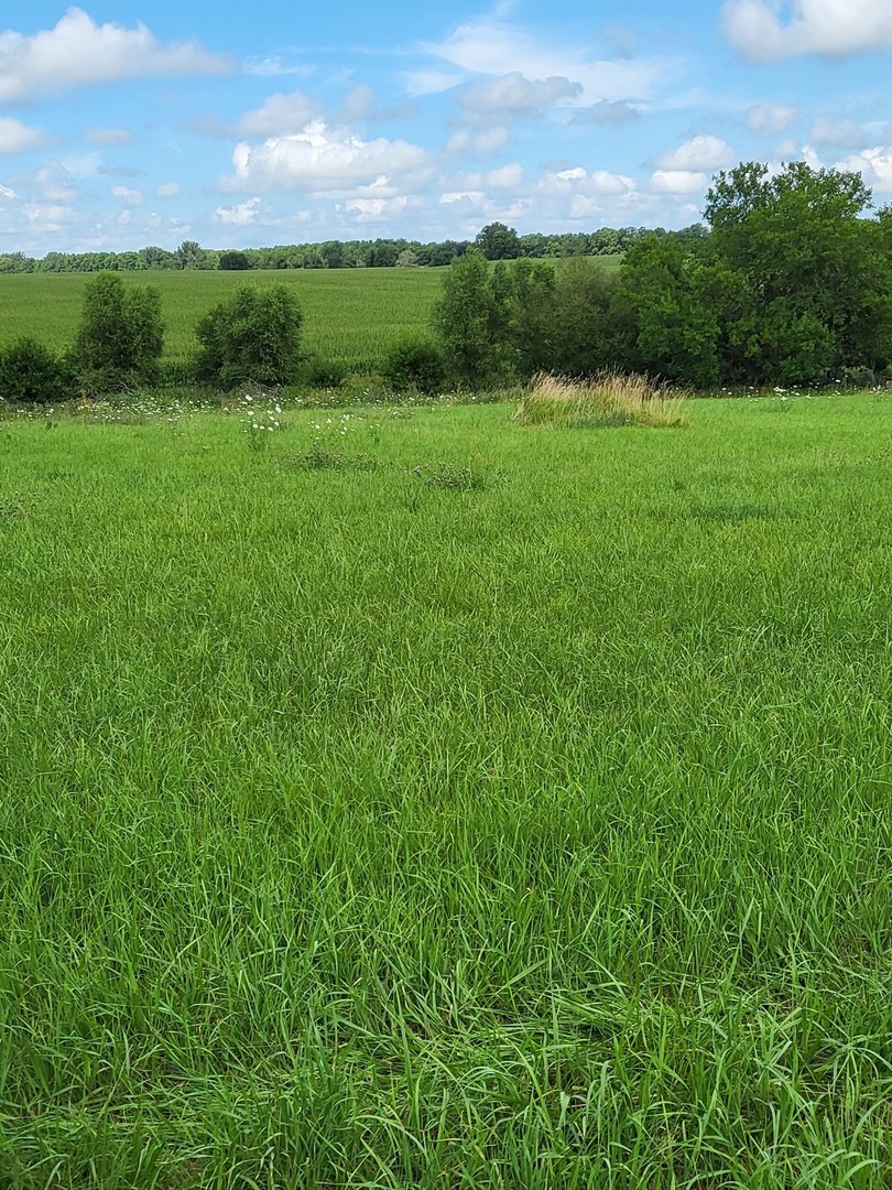 3452 Cyclone Road Earlville, IL 60518 - Photo 22 of 23