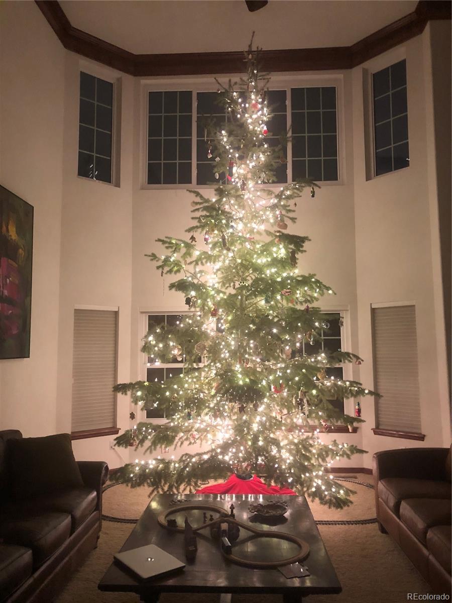7804 Silverweed Way Lone Tree, CO 80124 - Photo 10 of 32 a view of a entryway door of the house