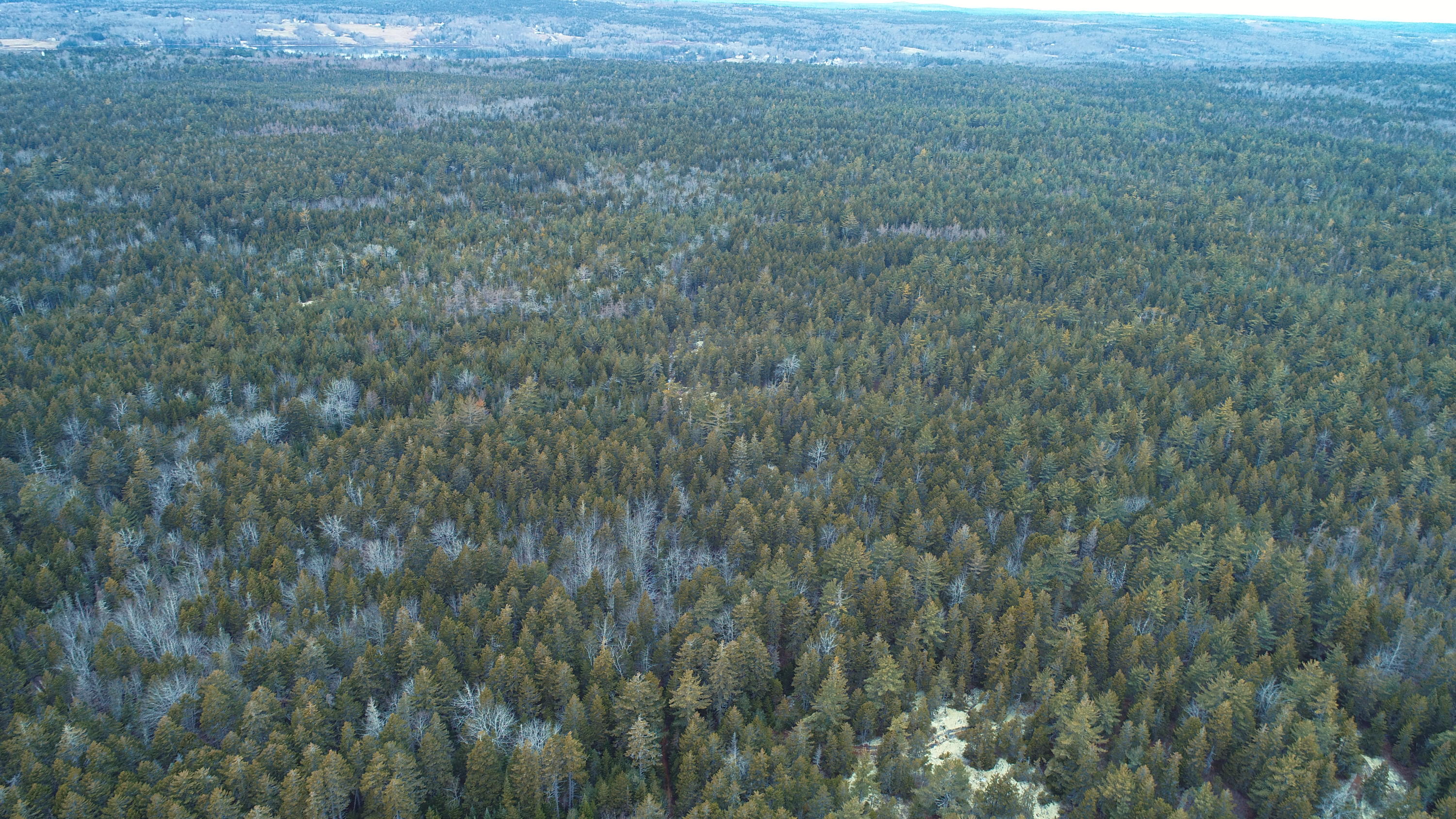 Off Folly Road Brooklin, ME 04616 - Photo 3 of 28 DJI_0002
