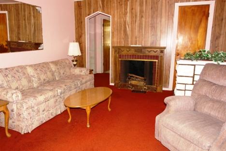10851 Oak Avenue Chicago Ridge, IL 60415 - Photo 4 of 15 a living room with furniture and a fireplace