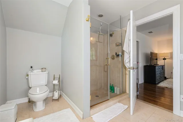 a bathroom with a shower and a toilet