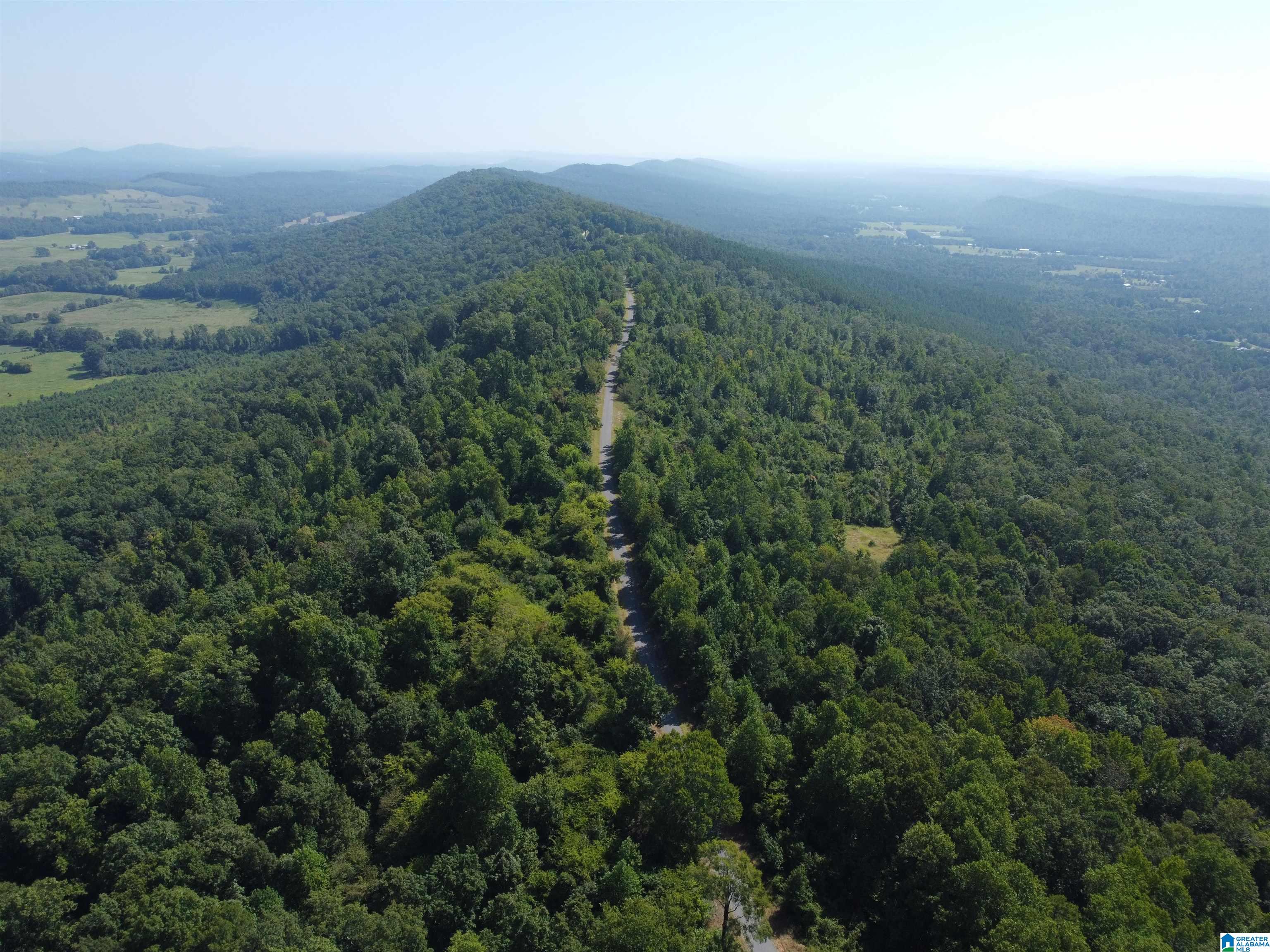 0 Beaver Mountain Road Ashville, AL 35953 - Photo 18 of 40