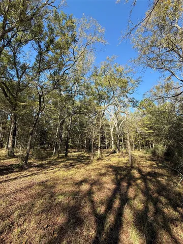 a view of outdoor space with trees