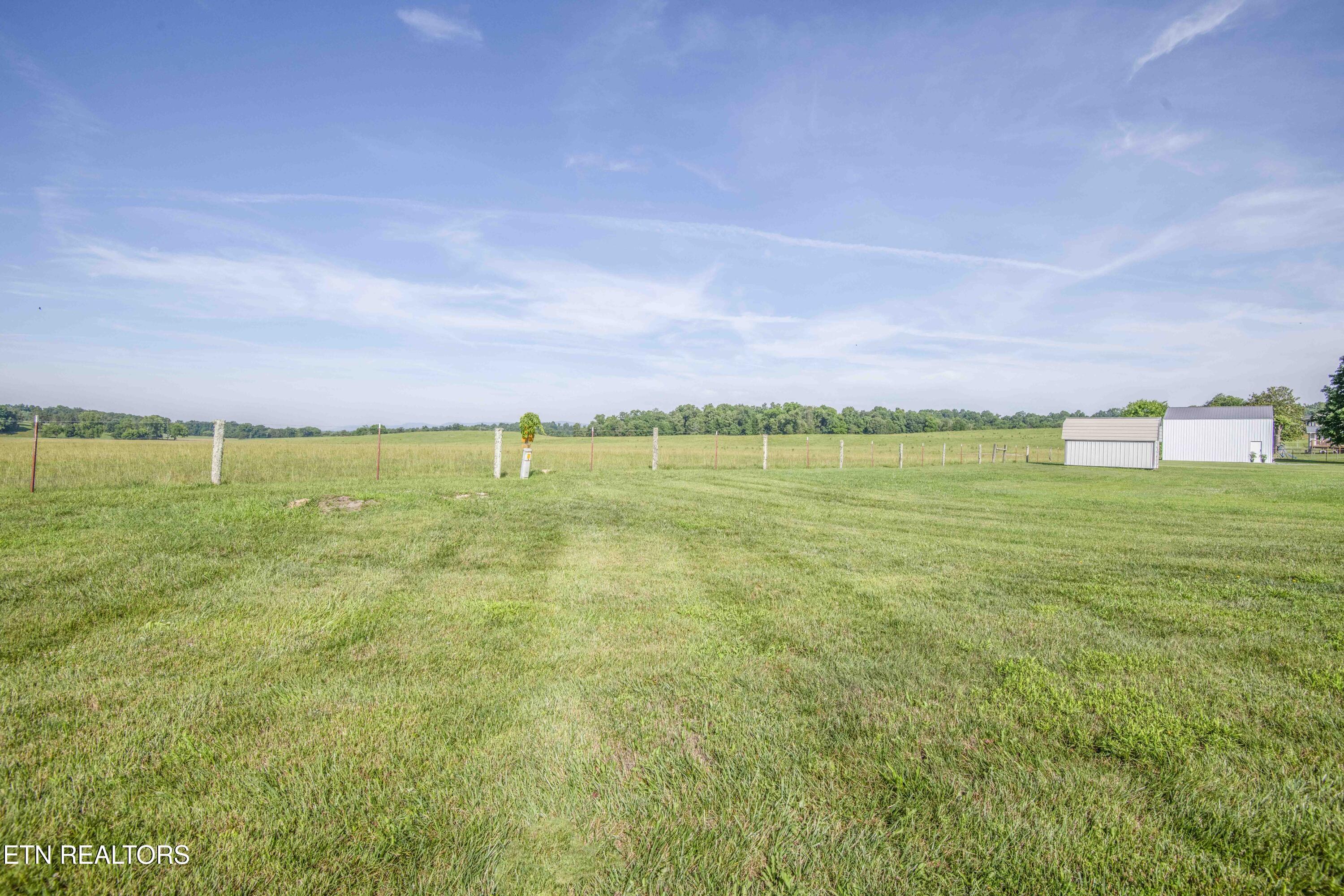 101 Big Valley Road Andersonville, TN 37705 - Photo 53 of 55 yard 6_1