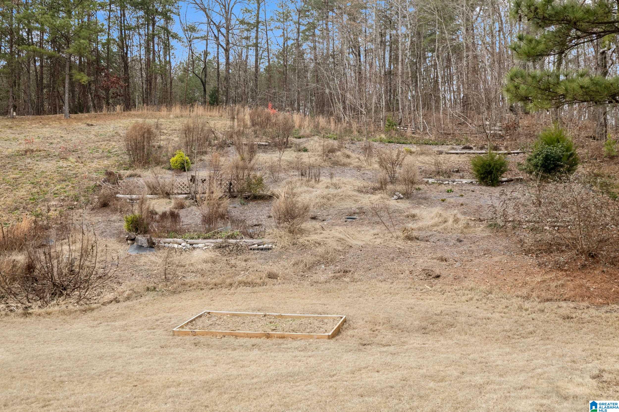 798 Cluster Springs Road Gardendale, AL 35071 - Photo 13 of 36