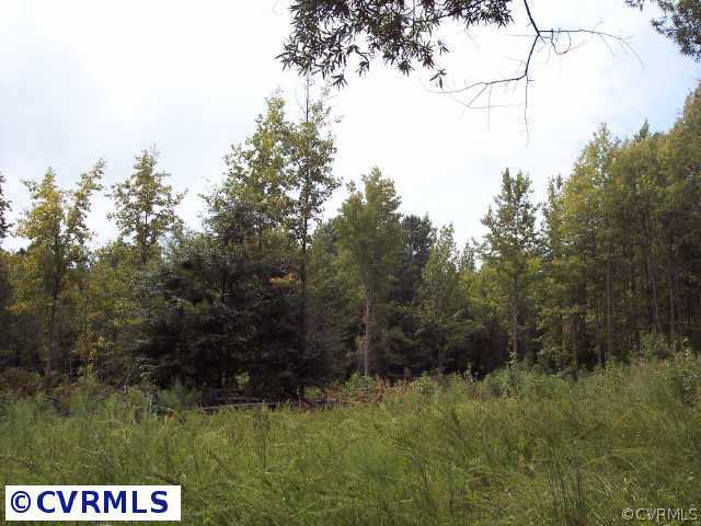 Other - The clearing for the homesite, or septic f