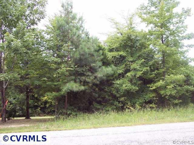0 Baskerville Road Baskerville, VA 23915 - Photo 8 of 10 Other - This is the street view. Paved road, state