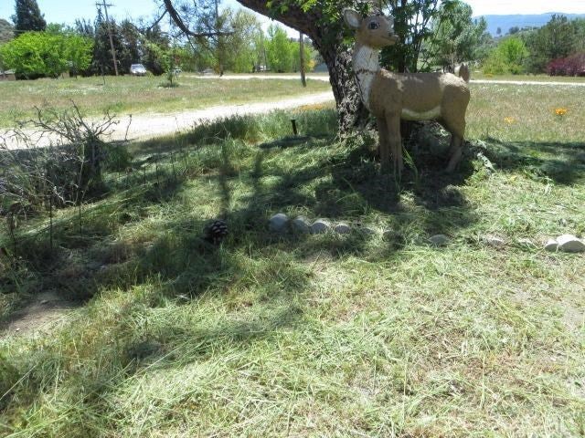 26140 Bear Valley Road Tehachapi, CA 93561 - Photo 2 of 58 Gallery Image 2